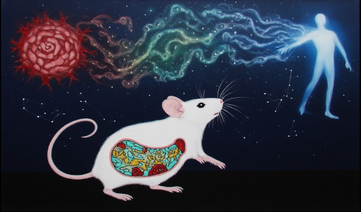 Mouse Study Links Gut Bacteria, Inflammation and Cancer
