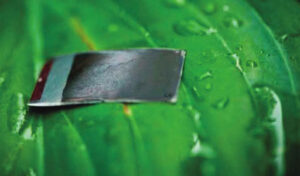 Artificial leaf gains ability to self-heal