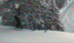 ‘Bigfoot’ on Sherman Pass Traffic Cam