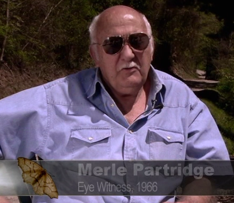 Merle Partirdge, mothman witness