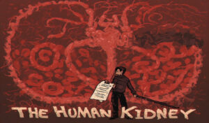 The Human Kidney, An Owner’s Manual
