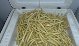 How Long Will Beans Keep in a Freezer During Nuclear War?